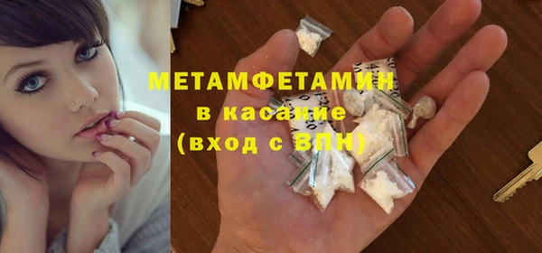 прущие грибы Алексин