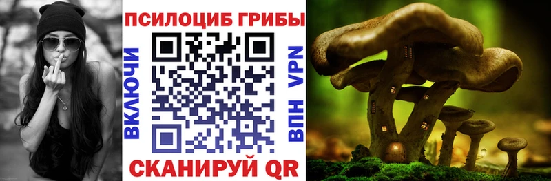 kraken зеркало  купить   Петрозаводск  Галлюциногенные грибы Magic Shrooms 